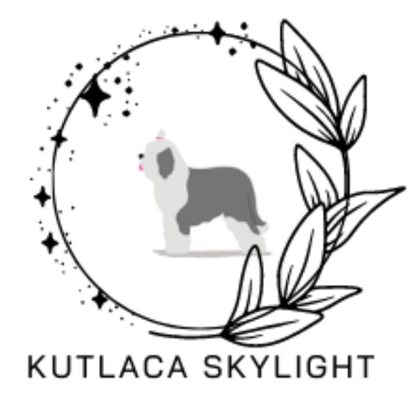 Logo_kutlaca skylight_1627728223.jpg